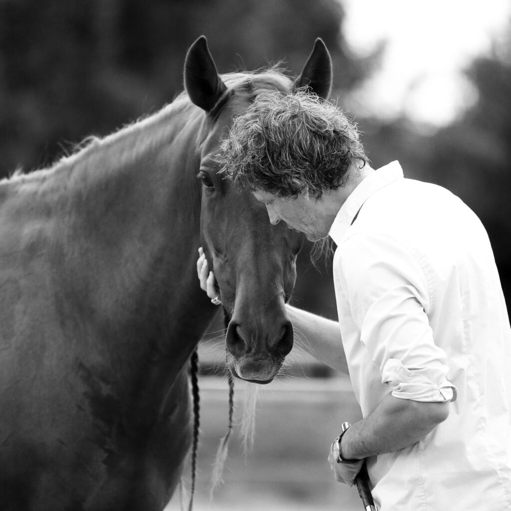 Renaud SUBRA Horsemanship