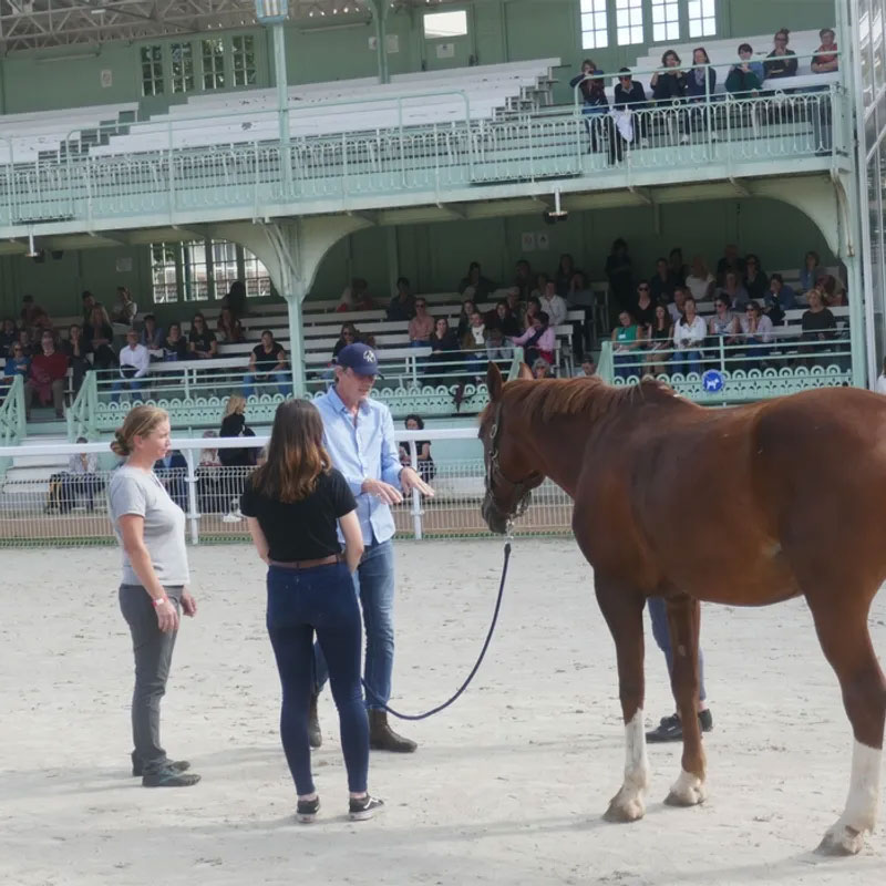 Equimeeting Médiation équine IFCE 2024 Renaud SUBRA