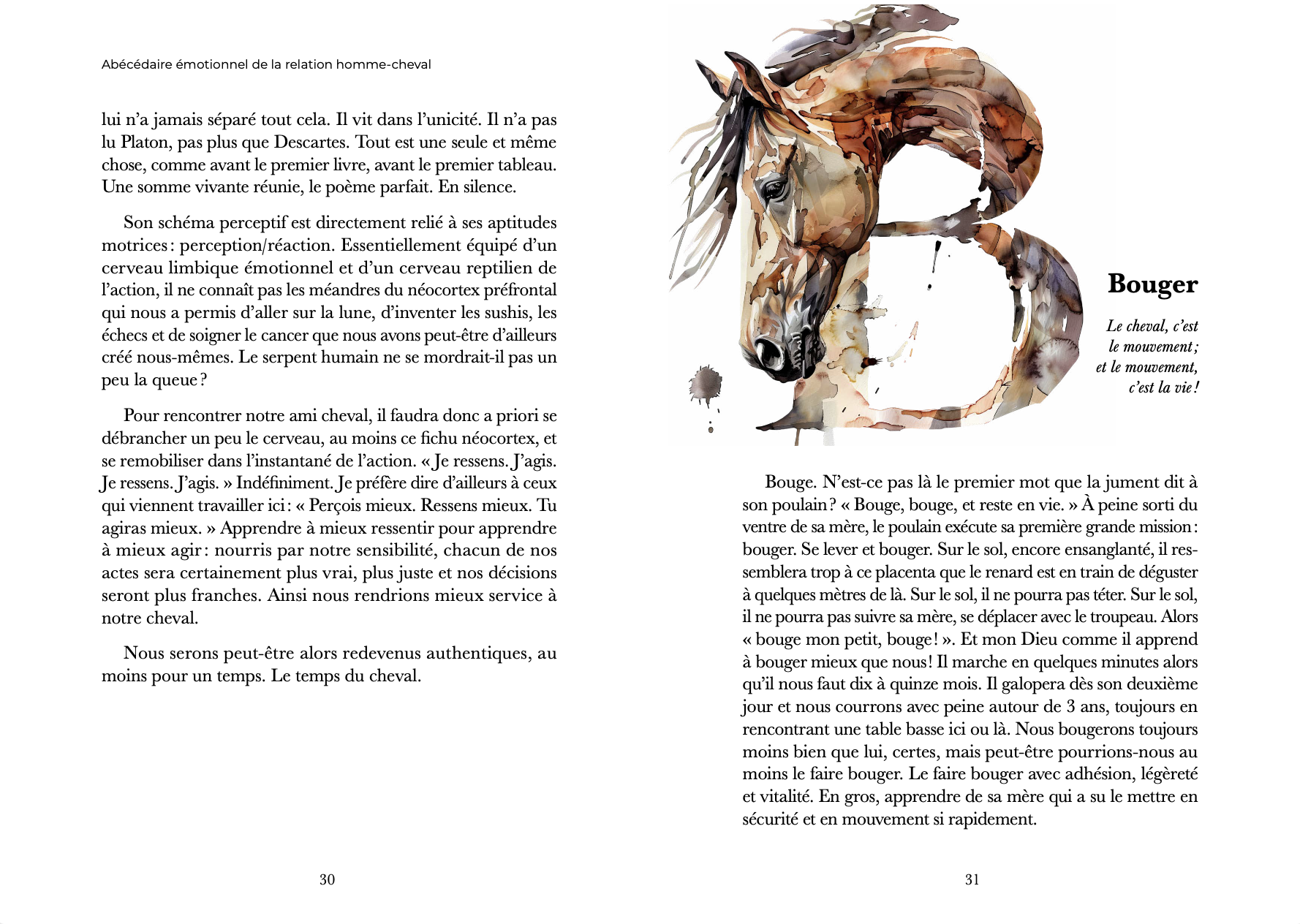 Livre Renaud SUBRA Lavauzelle