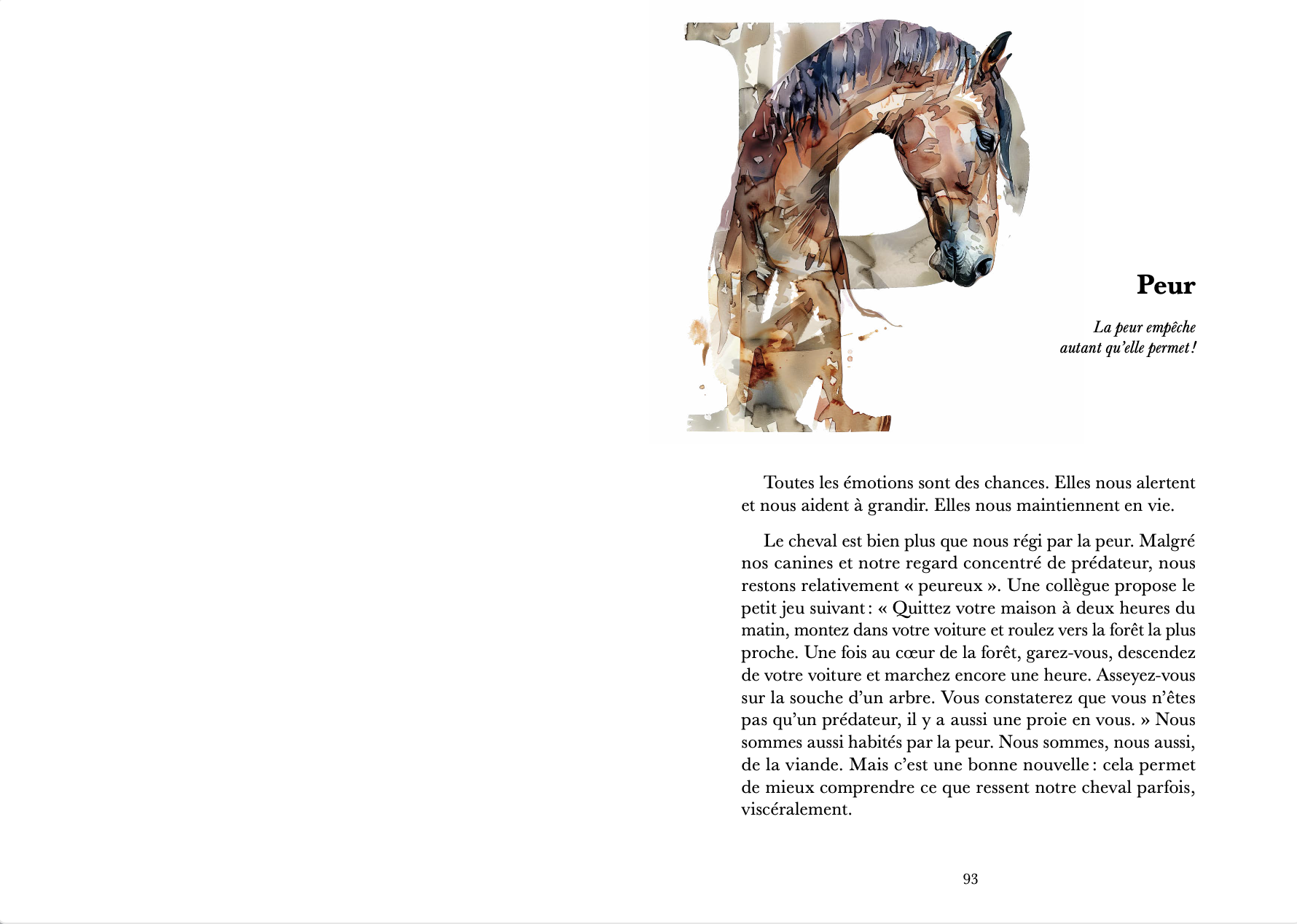 Renaud SUBRA - Abécédaire émotionnel cheval