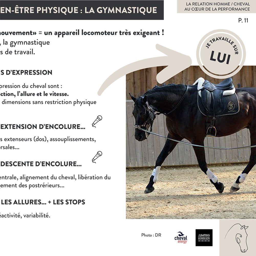 Renaud-Subra-Jumping-002-003 Renaud SUBRA Jumping de Bordeaux 2024 00