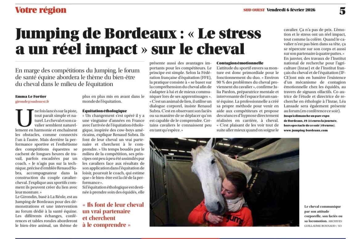 Renaud SUBRA - Stress cheval