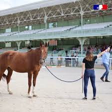 Equimeeting Médiation équine IFCE 2024 Renaud SUBRA